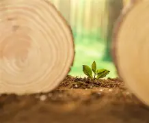 新生奇才：巴黎圣日耳曼斩落里昂