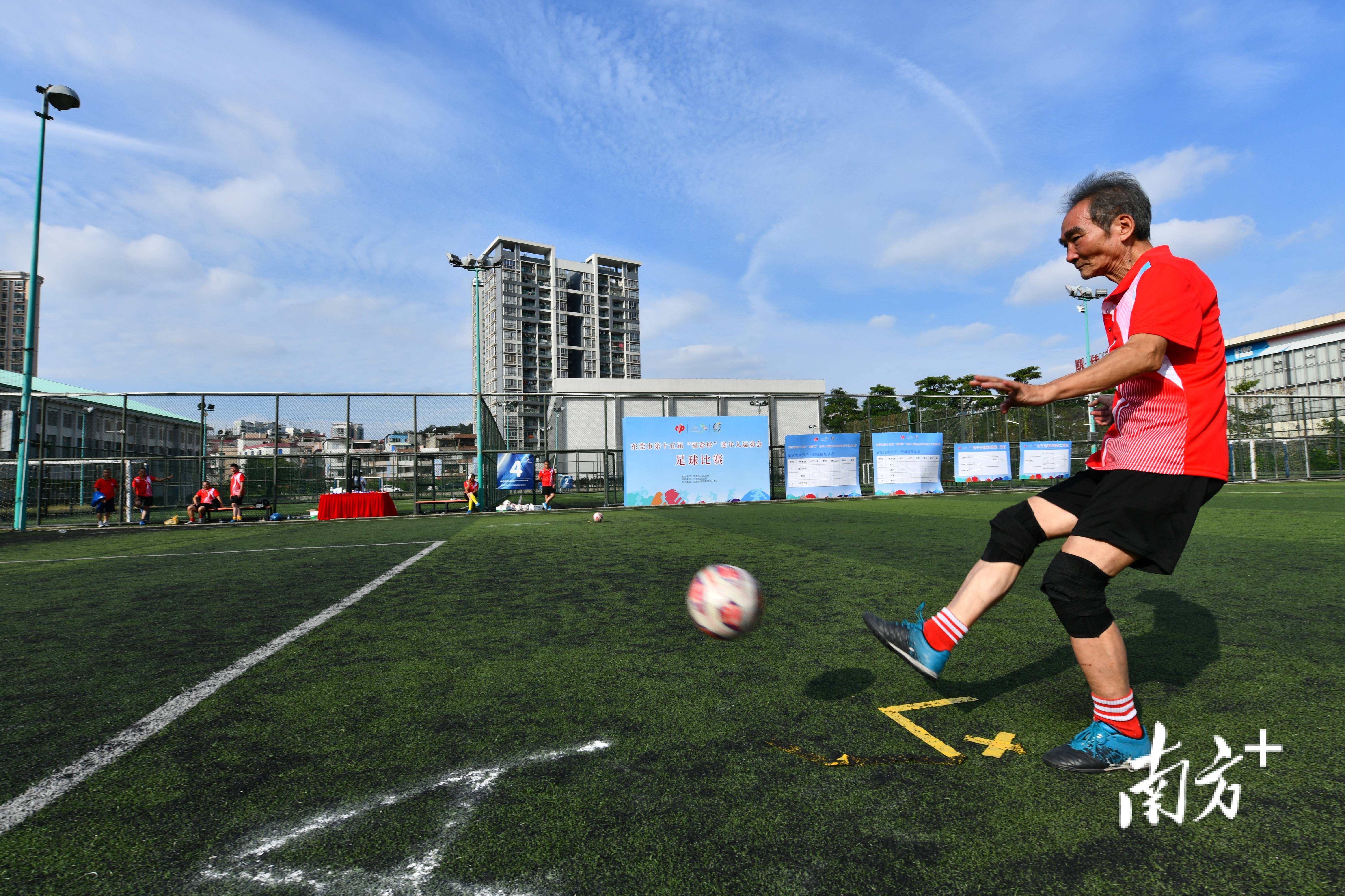 三亿体育体育vip注册-关于广东东莞队实力强劲，胜率节节攀升的信息